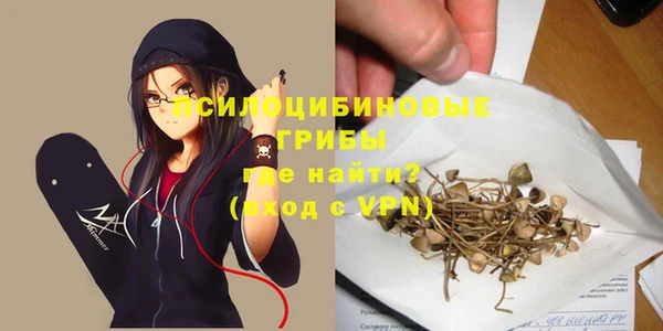 герыч Алексин