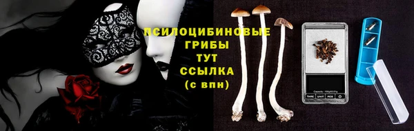 герыч Алексин