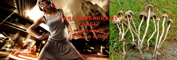 герыч Алексин