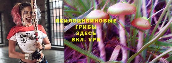 герыч Алексин